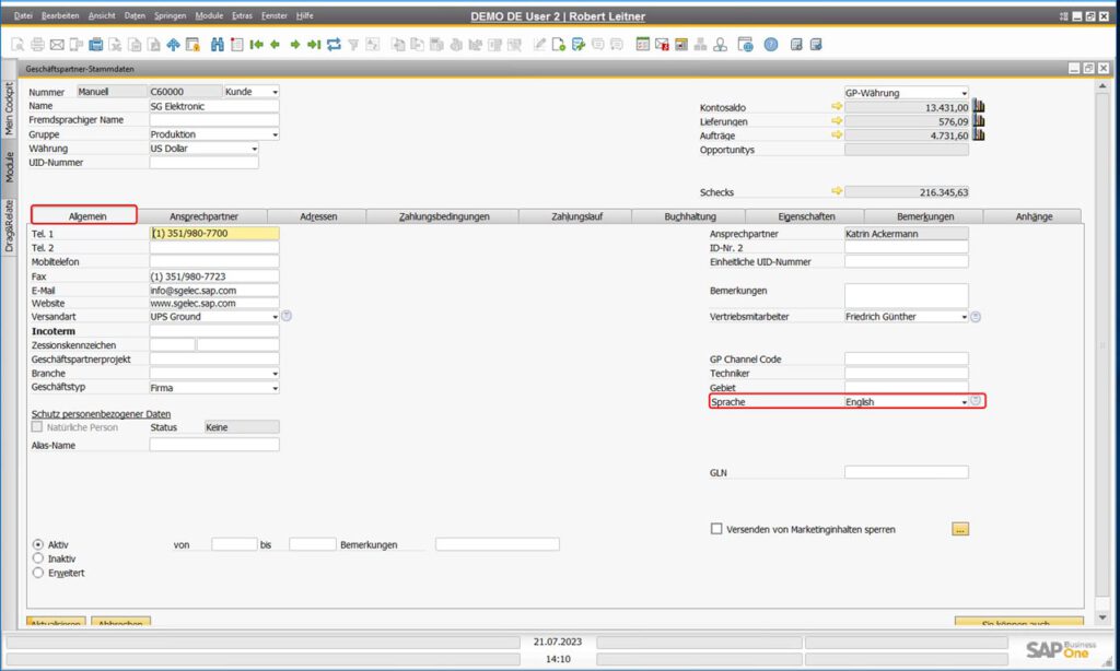 Ausländische Geschäftspartner in SAP Business One - Sprache