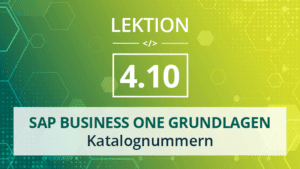 Mehr über den Artikel erfahren SAP Business One Grundlagen 4.10 – Katalognummern